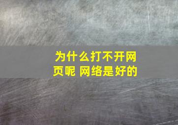 为什么打不开网页呢 网络是好的